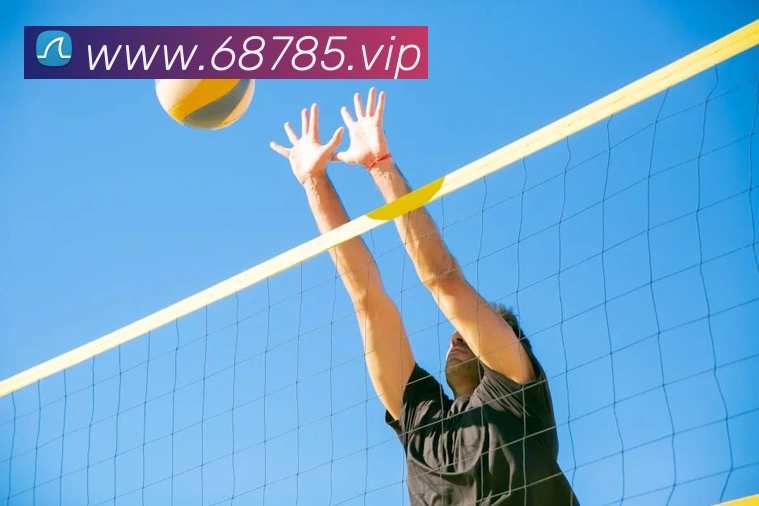 APP界面展示